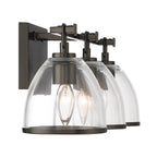 Minka-Lavery 15023-749 Rustic Gun Metal Wynnfrost 24'' Wide 3-light Vanity Image 7
