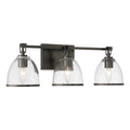 Minka-Lavery 15023-749 Rustic Gun Metal Wynnfrost 24'' Wide 3-light Vanity Image 1