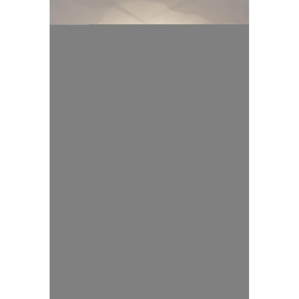 Metropolitan Lighting N1823-732 Legacy Brass Coastlyn 22'' 3-light Semi-flush Mount Image 3