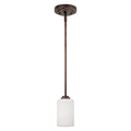 Millennium Lighting Bristo Pendant Light