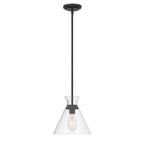 Millennium Lighting Amarella 10'' Wide 1-light Pendant