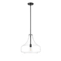 Millennium Lighting 20301-MB Matte Black Pendant Light Image 1