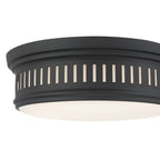 Millennium Lighting 95102-MB Matte Black Velune  14'' Wide 2-light Flush Mount Image 5