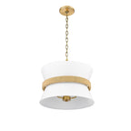 Millennium Lighting 20503-VB Vintage Brass Pendant Light Image 6