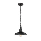 Millennium Lighting 2952-PBK Powder Coat Black Outdoor Hanging Lantern Image 1