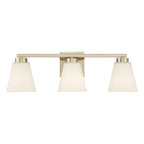 Millennium Lighting Strayhan 22'' Wide 3-light Vanity