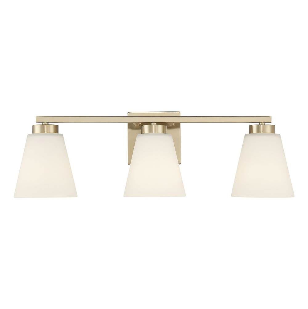 Millennium Lighting Strayhan 22'' Wide 3-light Vanity