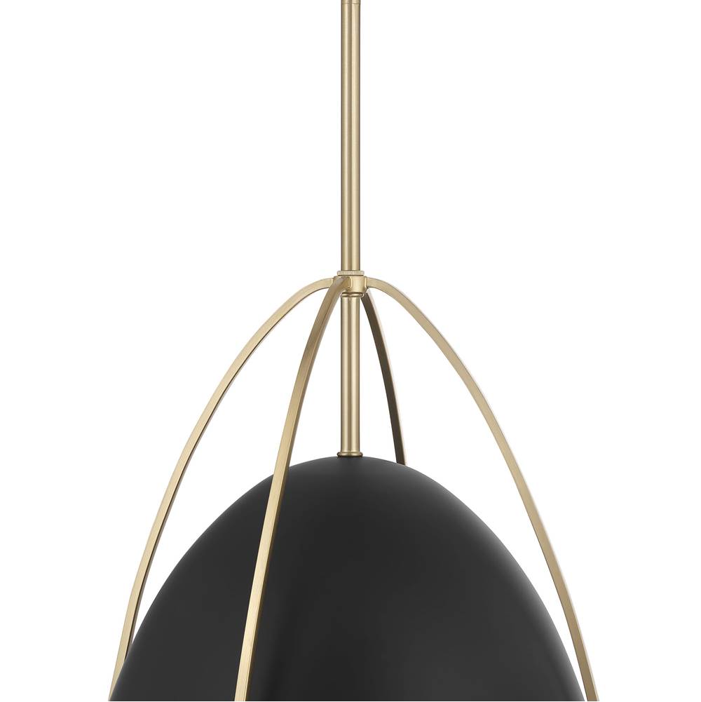 Millennium Lighting 69201-MB/MG Matte Black Pomelle  13.75'' Wide 1-light Pendant Image 6