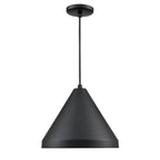Millennium Lighting R Series Cord Hung Wide Cone