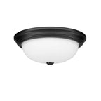 Millennium Lighting  Flushmount Ceiling Light
