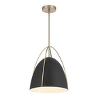 Millennium Lighting 69201-MB/MG Matte Black Pomelle  13.75'' Wide 1-light Pendant Image 1