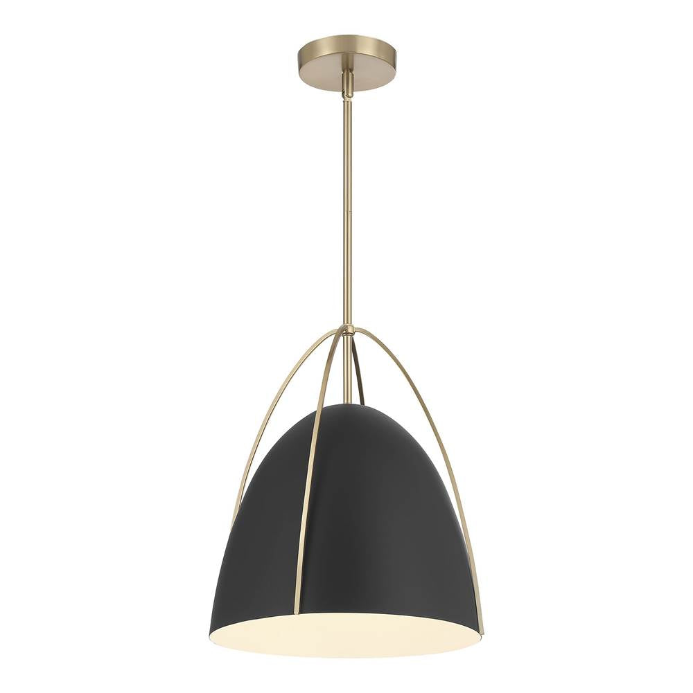Millennium Lighting 69201-MB/MG Matte Black Pomelle  13.75'' Wide 1-light Pendant Image 1