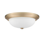 Millennium Lighting  Flushmount Ceiling Light