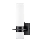 Millennium Lighting  Outdoor Wall Sconce