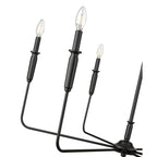 Millennium Lighting 29406-MB Matte Black Chandelier Ceiling Light Image 4