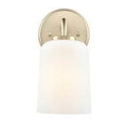 Millennium Lighting Laphia 5'' Wide 1-light Vanity - Brushed Nickel