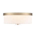 Millennium Lighting Laphia 13.25'' Wide 2-light Flushmount - Brushed Nickel
