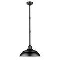 Millennium Lighting R Series Pendant Light