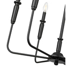 Millennium Lighting 29306-MB Matte Black Chandelier Ceiling Light Image 3