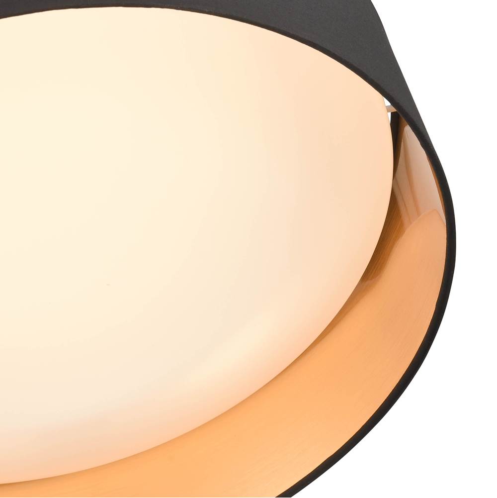 Millennium Lighting  Flushmount Ceiling Light