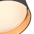 Millennium Lighting  Flushmount Ceiling Light