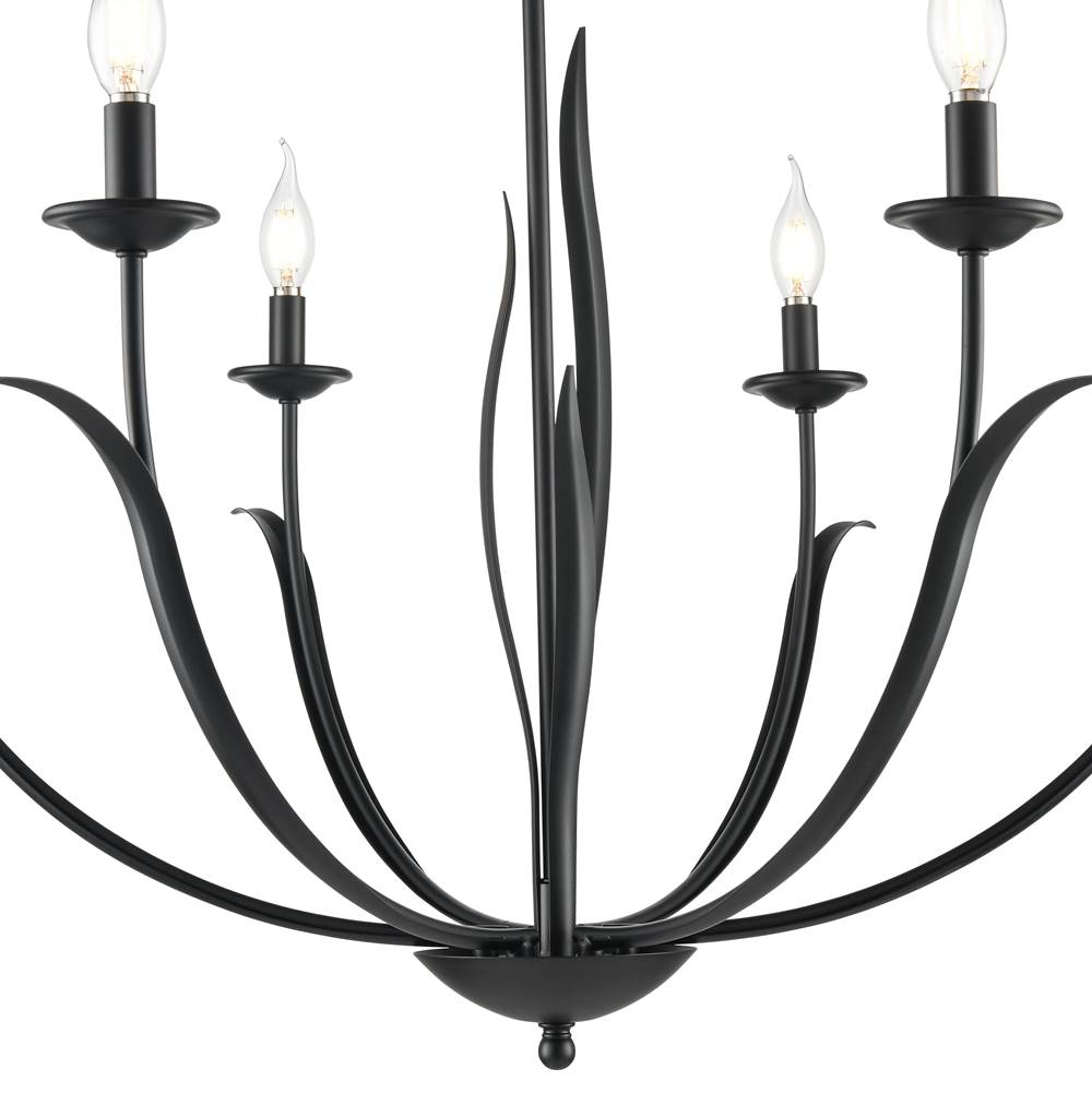 Millennium Lighting 44106-MB Matte Black Charlize 33.75'' Wide 6-light Chandelier - Matte Black Image 6