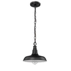 Millennium Lighting  Outdoor Hanging Lantern