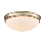 Millennium Lighting  Flushmount Ceiling Light