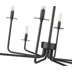 Millennium Lighting 12508-MB Matte Black Chandelier Ceiling Light Image 3