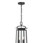 Millennium Lighting 66102-PBK Powder Coated Black Kendrix 7.5'' Wide 2-light Outdoor Hanging Lantern Image 5