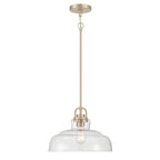 Millennium Lighting Clarien  14'' Wide 1-light Pendant