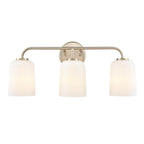 Millennium Lighting Laphia 22'' Wide 3-light Vanity - Brushed Nickel