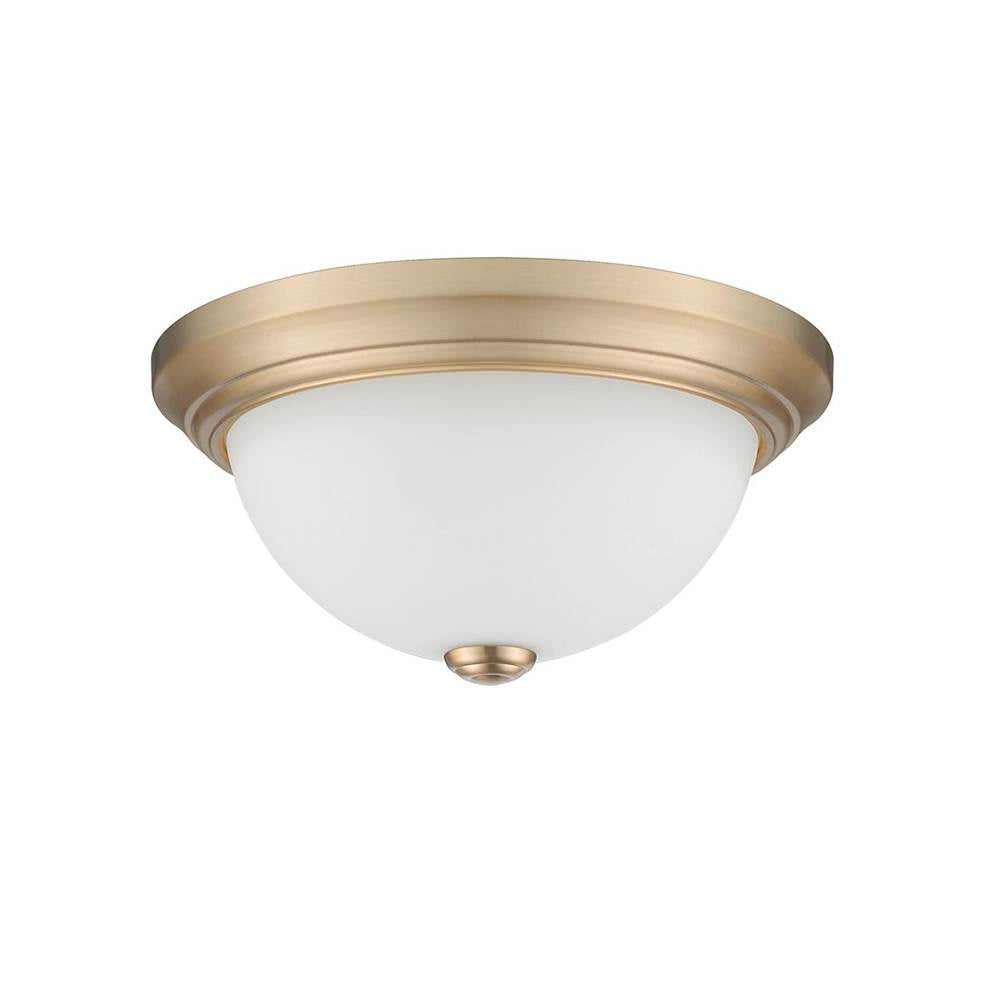 Millennium Lighting  Flushmount Ceiling Light