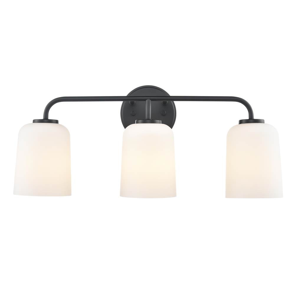 Millennium Lighting Laphia 22'' Wide 3-light Vanity - Brushed Nickel