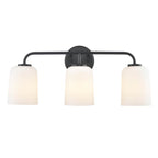 Millennium Lighting Laphia 22'' Wide 3-light Vanity - Brushed Nickel