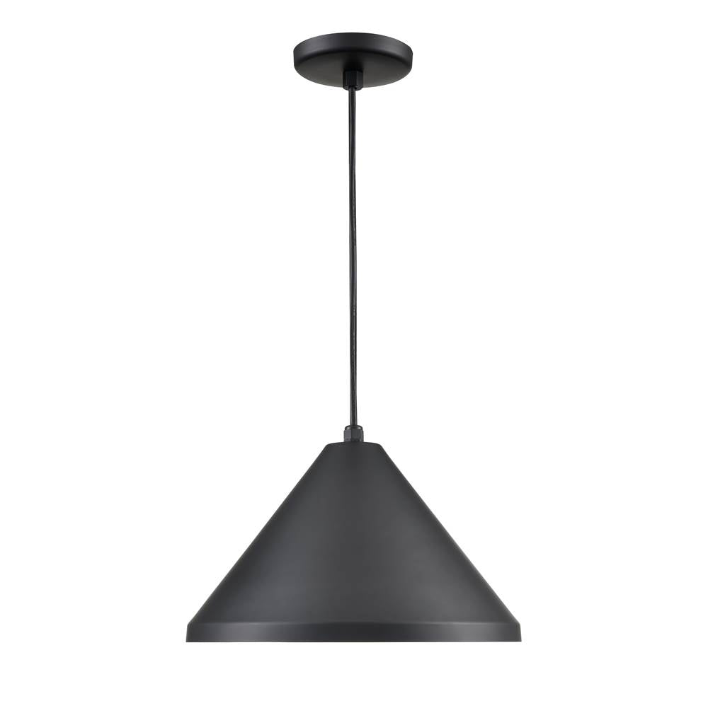 Millennium Lighting R Series Cord Hung Wide Cone