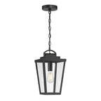 Millennium Lighting 68301-PBK Powder Coated Black Brenwick 8'' Wide 1-light Outdoor Hanging Pendant Image 1