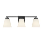 Millennium Lighting Strayhan 22'' Wide 3-light Vanity