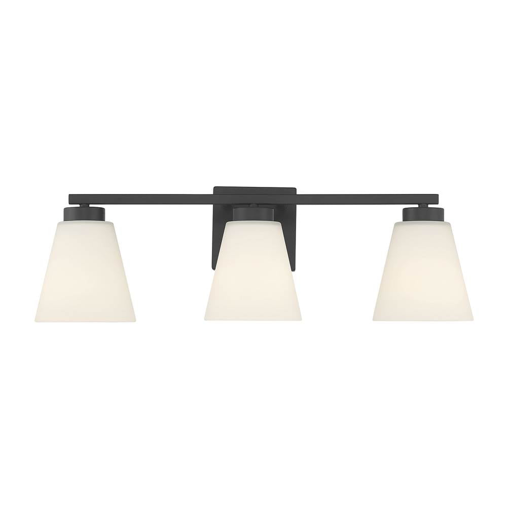 Millennium Lighting Strayhan 22'' Wide 3-light Vanity