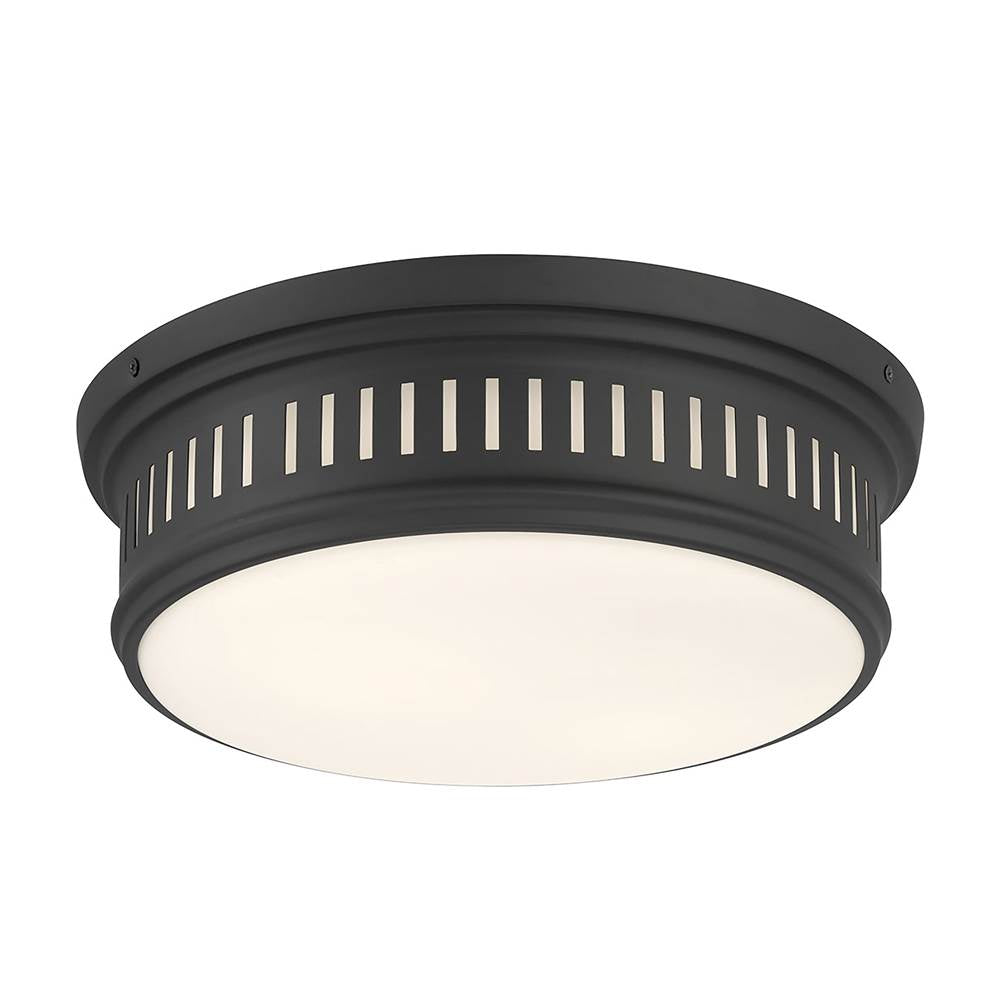 Millennium Lighting 95102-MB Matte Black Velune  14'' Wide 2-light Flush Mount Image 1