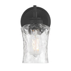 Millennium Lighting Clarvyn 9.25'' High 1-light Wall Sconce