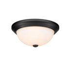 Millennium Lighting  Flushmount Ceiling Light