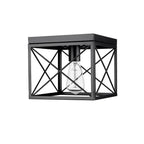 Millennium Lighting  Flushmount Ceiling Light