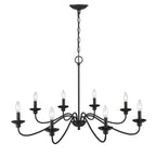 Millennium Lighting Delvona Chandelier Ceiling Light