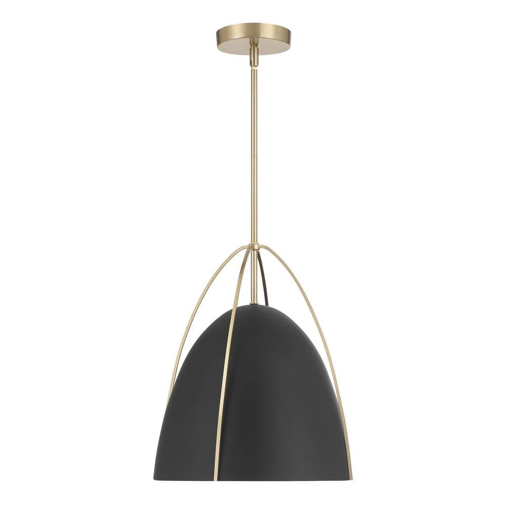 Millennium Lighting Pomelle  13.75'' Wide 1-light Pendant