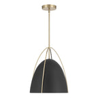 Millennium Lighting Pomelle  13.75'' Wide 1-light Pendant