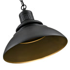 Millennium Lighting 81103-PBK Powder Coated Black Outdoor Hanging Lantern Image 3