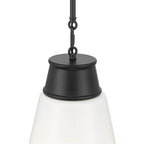Millennium Lighting 280101-MB Matte Black Bellaryn 11.25'' Wide 1-light Pendant Image 6