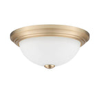 Millennium Lighting  Flushmount Ceiling Light