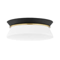 Mitzi Cath Flush Mount